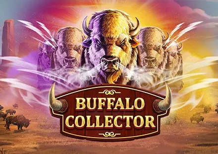 Buffalo Collector