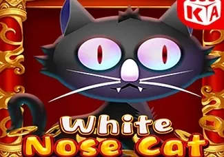 White Nose Cat